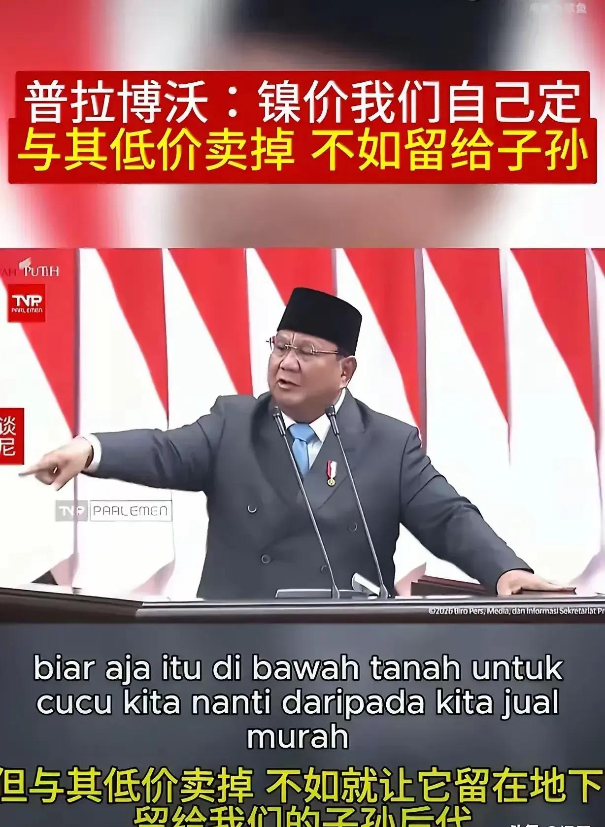 印尼总统普拉博沃搬起石头砸自己的脚，印尼近来铁了心的要收割中资镍矿企业，造成印尼