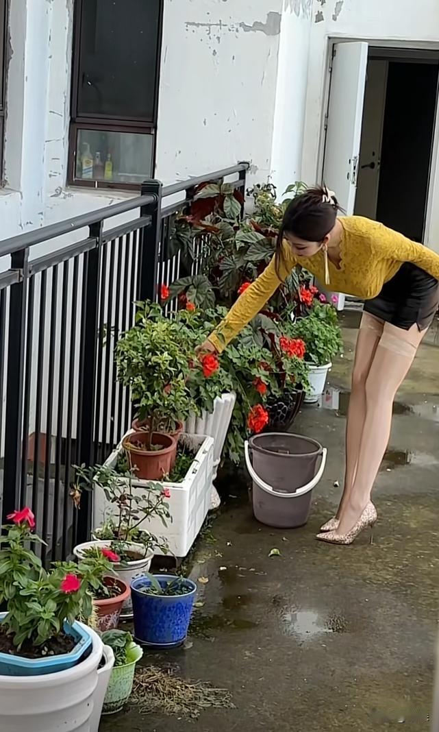 阳台过道上新来个美女每天一早就起来浇花这道靓丽的风景是清晨里最温馨的画面她8
