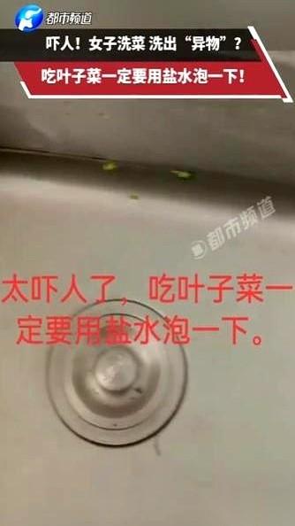 我滴妈呀，刚刷到一个重庆姐妹的视频，晚饭差点当场吐出来。她洗完一把空心菜，水放