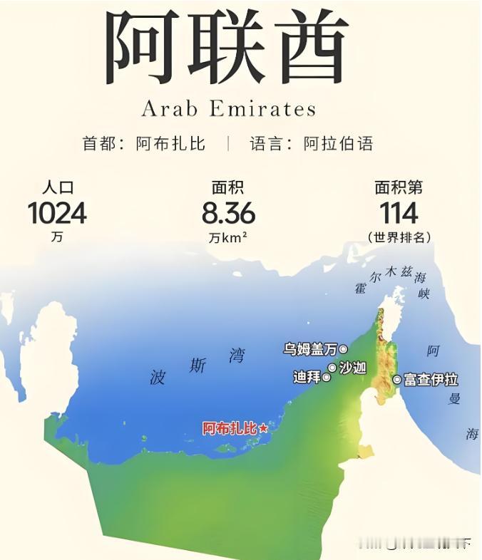 阿布扎比王储访华，中东孤家寡人的破局之路？阿布扎比王储总算抵京了，专机刚在北