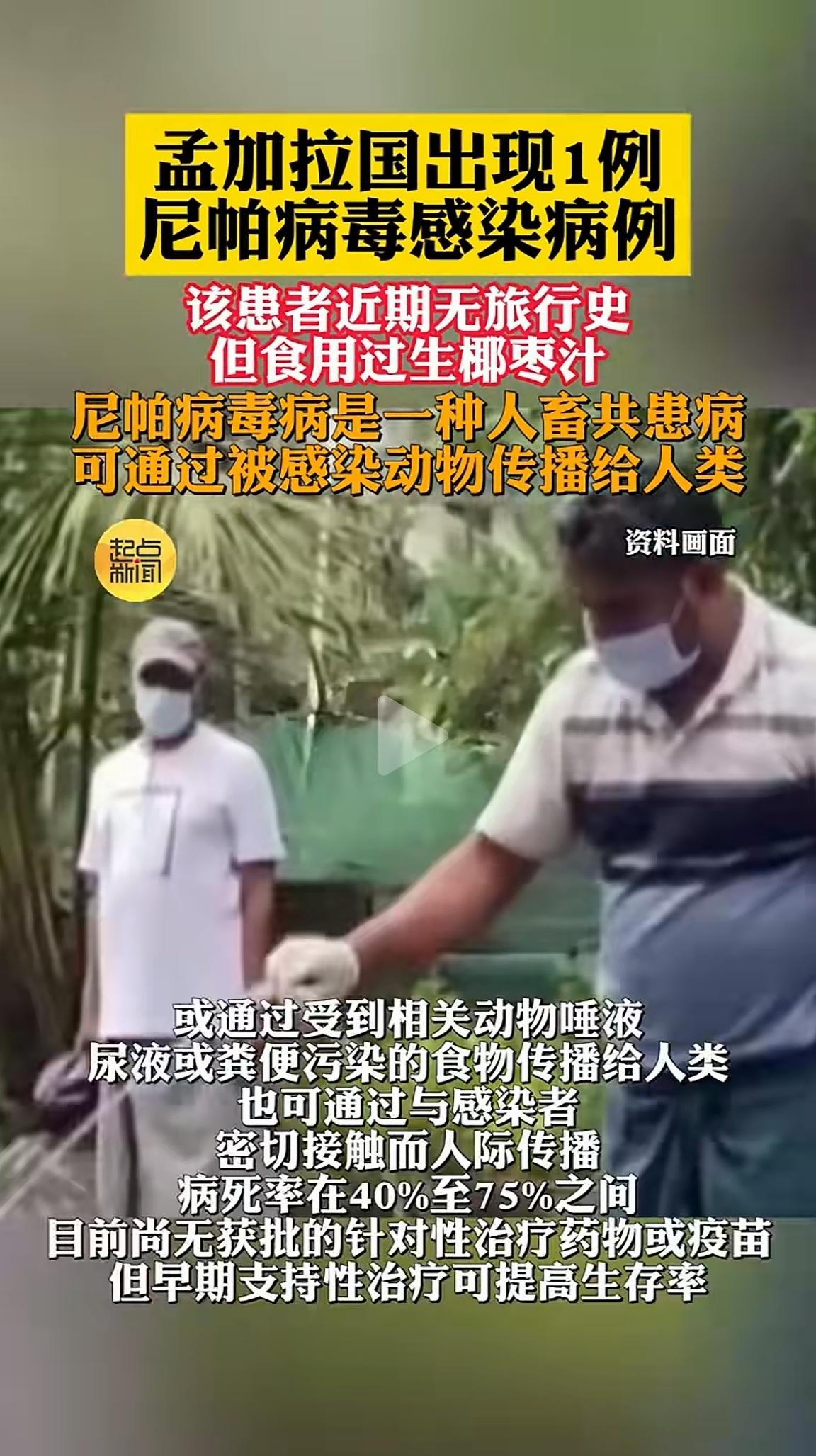 当第二个国家出现了尼帕病毒感染者时大家感觉这事必须要重点关注了。因为前几天是