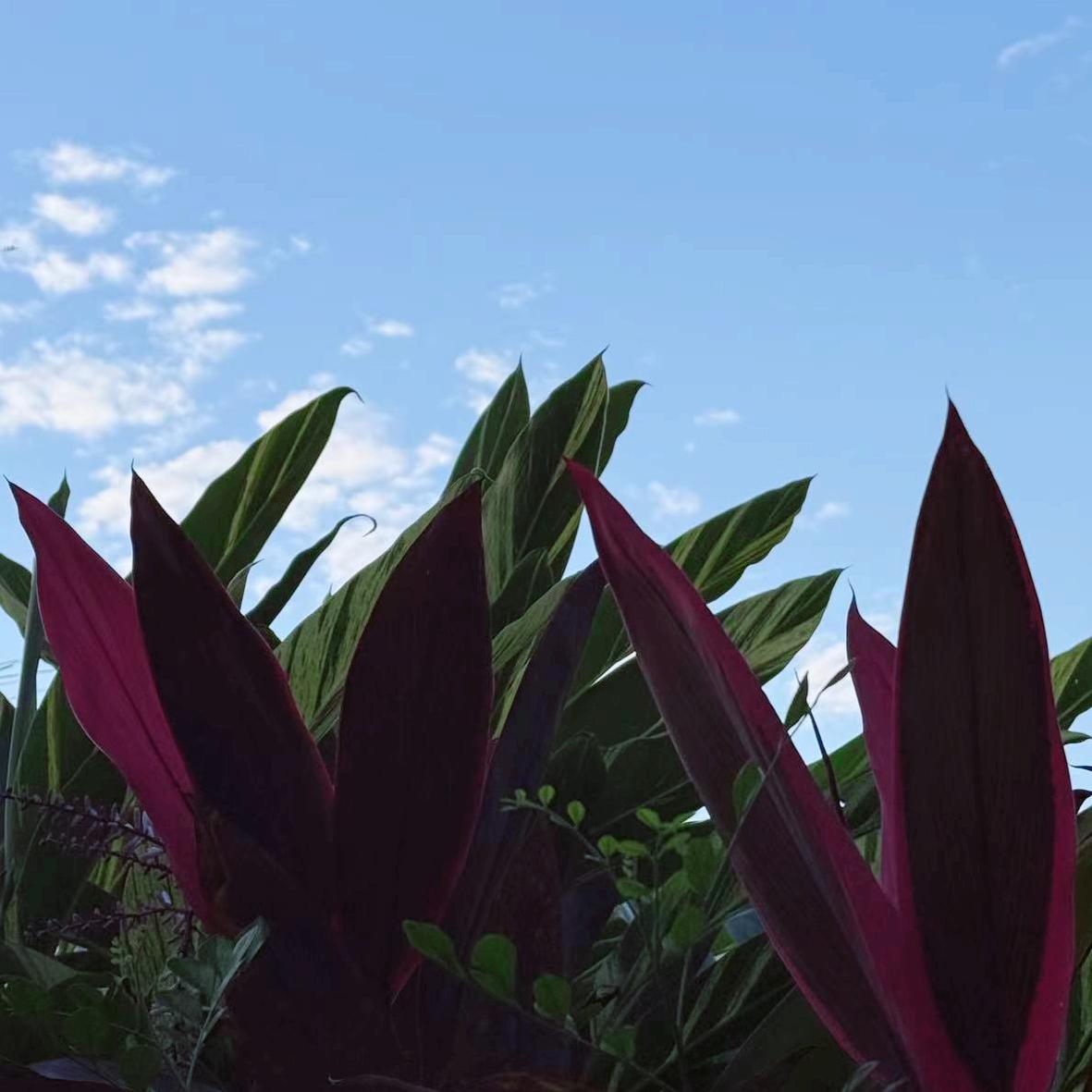 今晚  黑龙江：执纪审查1人 12月18日晚8:00，黑龙江：执纪审查1人