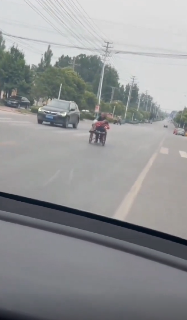 怎么办？就这么水灵灵的向我走来了