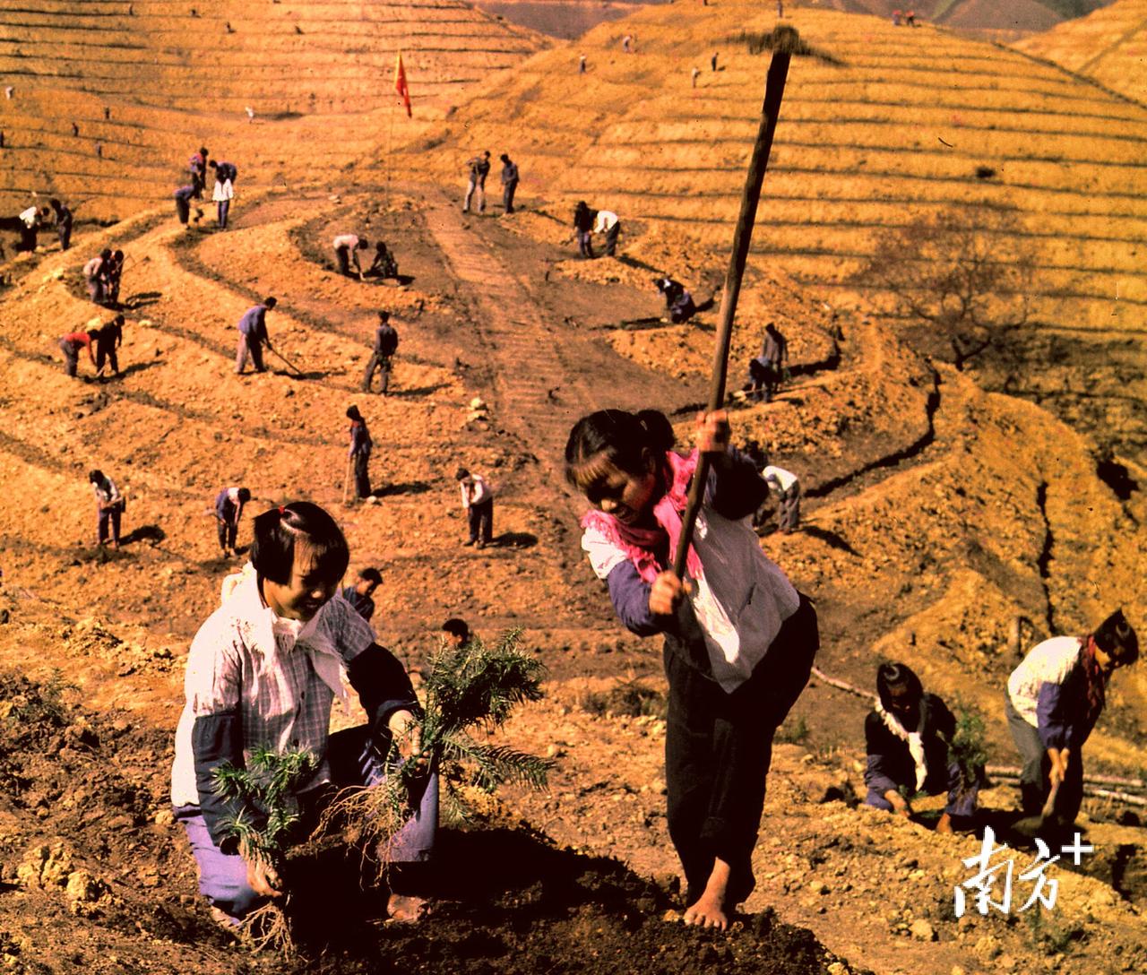 你知道吗？中国人种树的疯狂程度，简直超乎想象！过去40多年，我国累计造林超7亿亩
