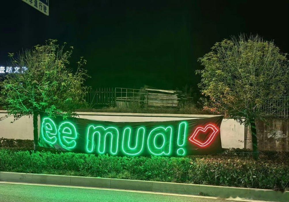 成毅粉丝一天天就光忙着撩拨成毅了这都怎么想出来的花招啊，让我赶紧记下来，总有用的