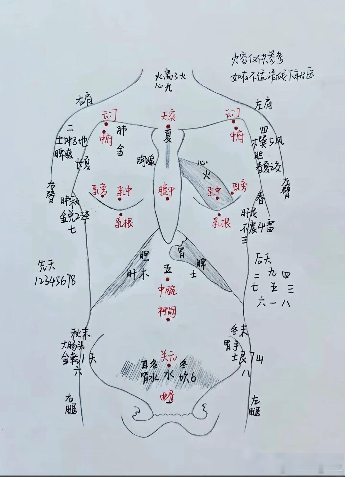 中医里的阴阳，不是玄学，是一套用来描述人体功能、结构、寒热、动静的分类逻辑，和五