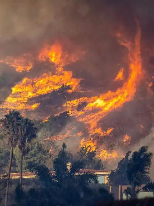 刚刚，看到新浪icon新闻，突发，总投资达到113亿元的，浙江光伏基地发生火