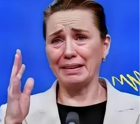 丹麦政府痛恨中国最近丹麦外交大臣拉斯穆森的表态，相信不少人都听说了，语气硬得