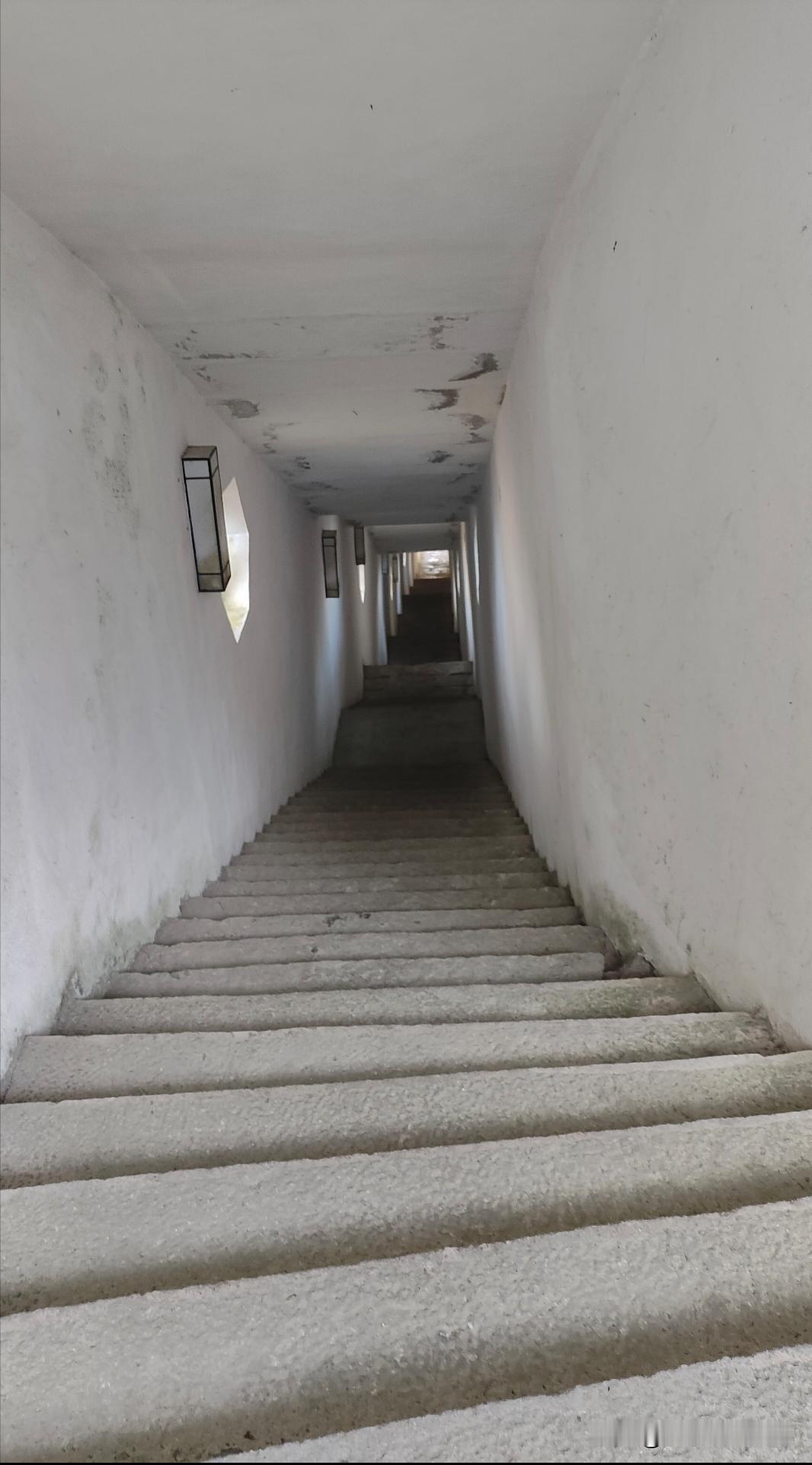 黄山701招待所有没有专业人士才解释一下黄山701招待所的标间优势是啥，这么长