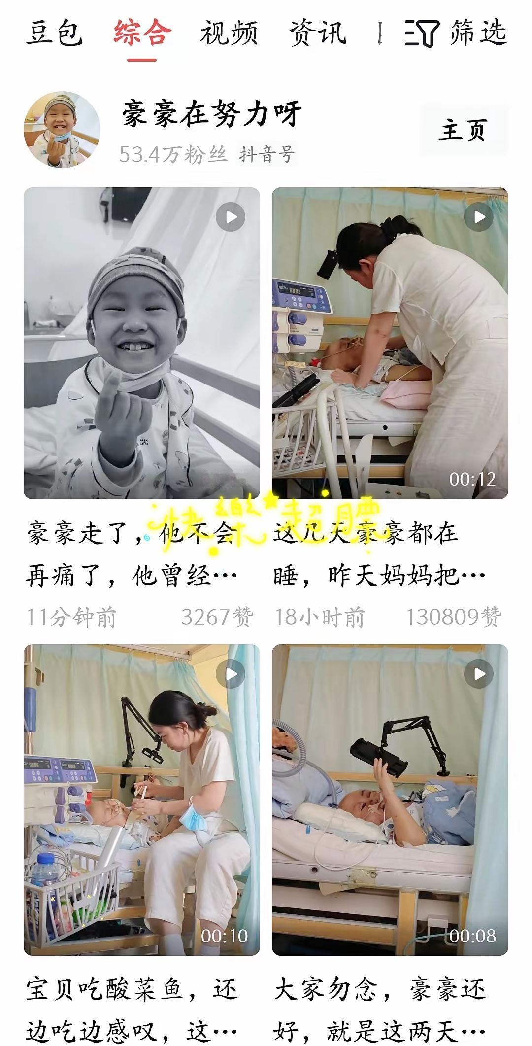 豪豪还是走了，真的很心疼，我关注好几年了。想让他好起来，有那么一阵他出院了，我