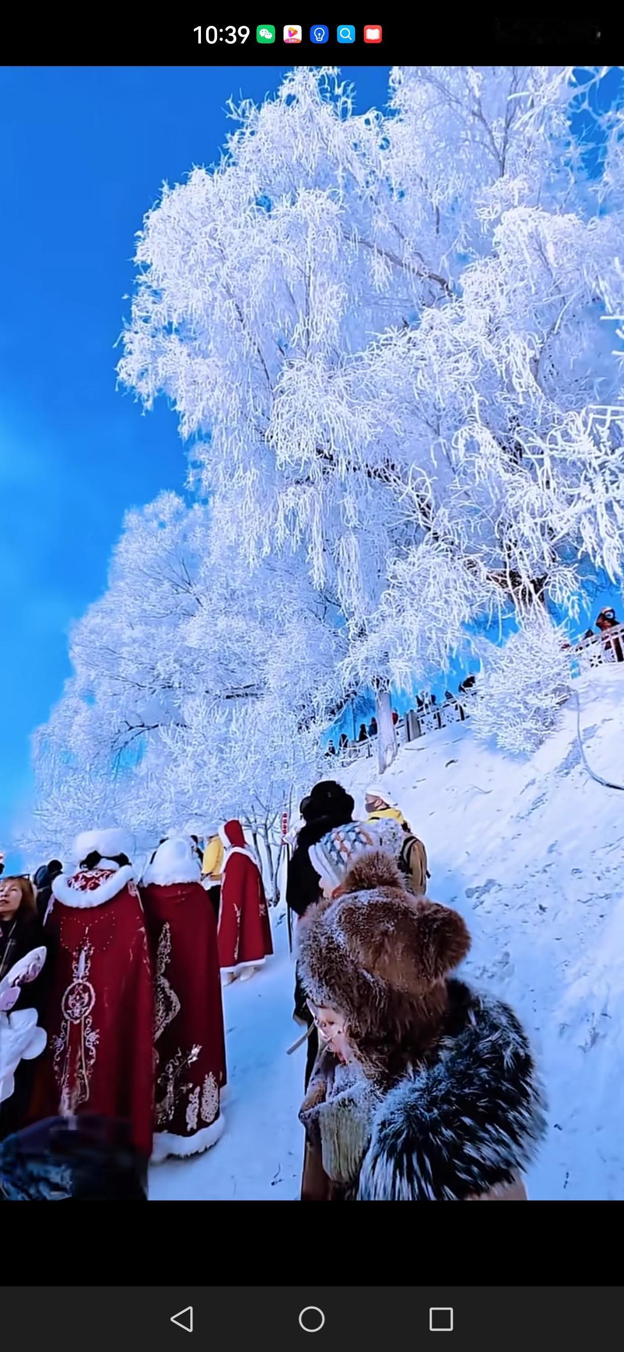 能分享一下你相册里的风景照片吗随手拍～