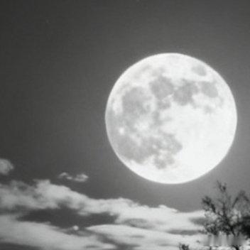 月亮像一只温柔的手，轻轻抚摸你的额头。睡吧，把所有的疲惫都交给夜色。晚安好梦