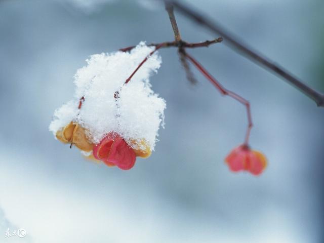 雪天养生知多少?
