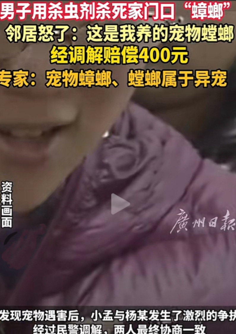 “太离谱了！”7月5日，浙江杭州，一男子见自家门口有两只蟑螂，没多想，就用杀虫剂