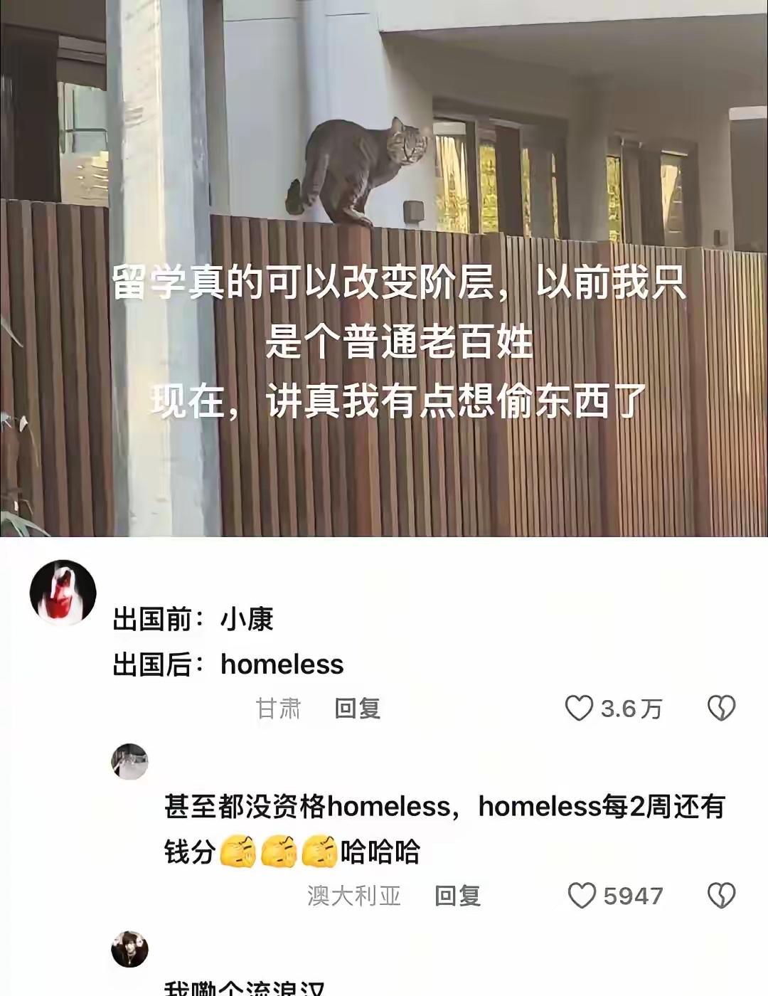 原来留学改变的是这个阶层吗
