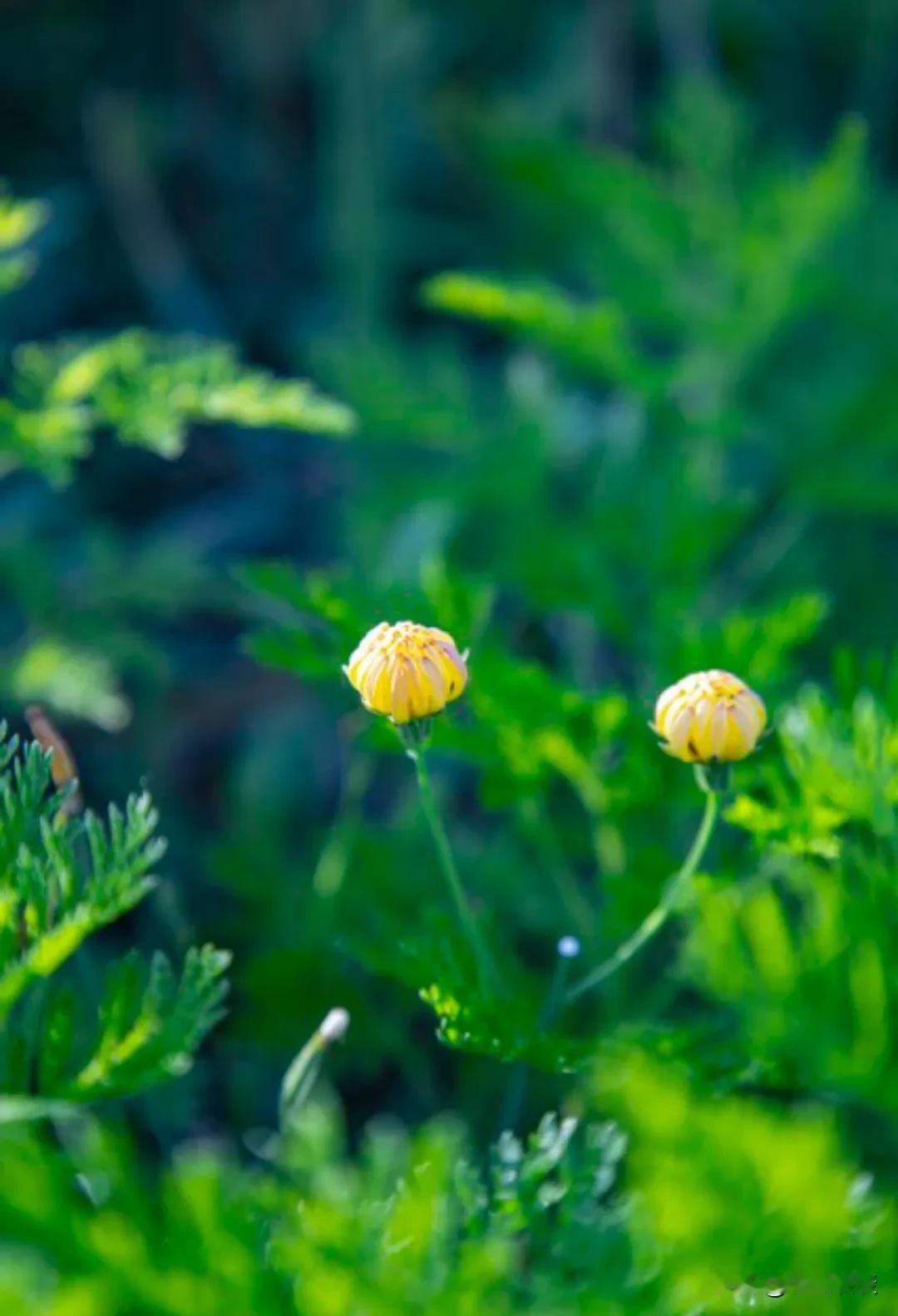 醍醐灌顶的一句话:“当有一天你老了，你走不了路，下不了床，吃饭要人喂，不能正常上
