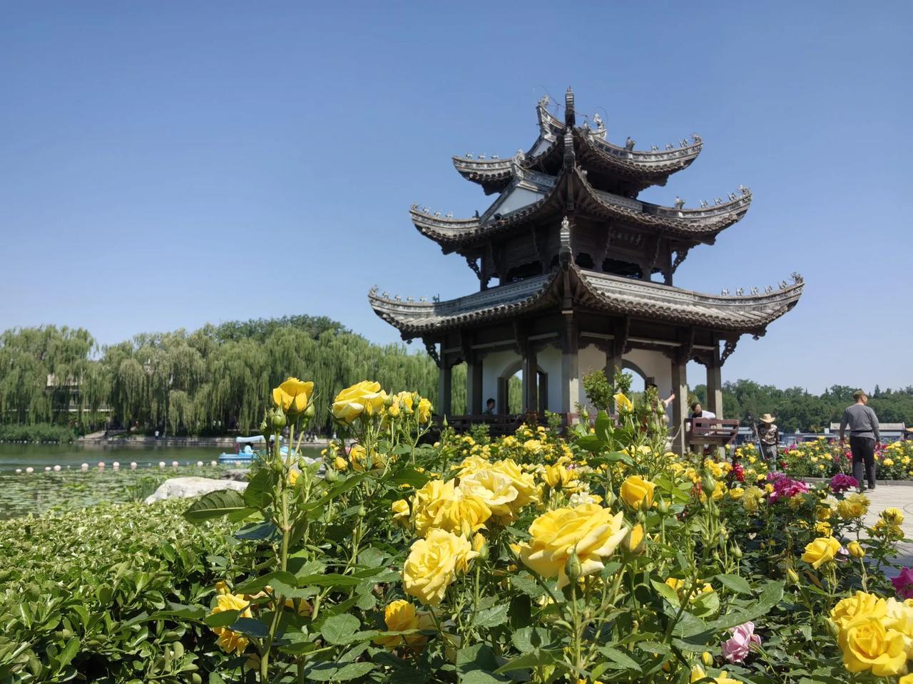 70岁以后，健康生活的十条建议:1、当你突然发现自己走路时候脚步走得慢了，不