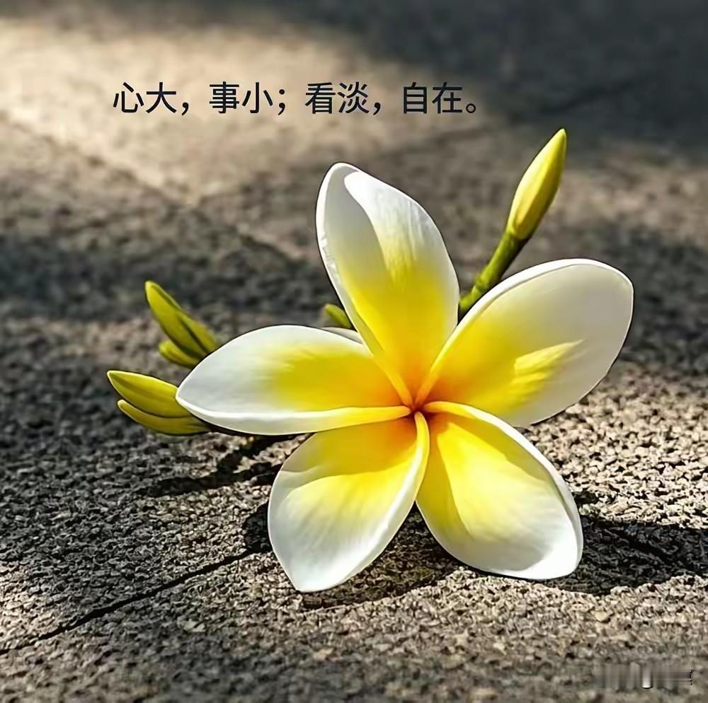 人生，一半看清，一半看轻。看清世事，是为了不糊涂；看轻得失，是为了不纠缠。