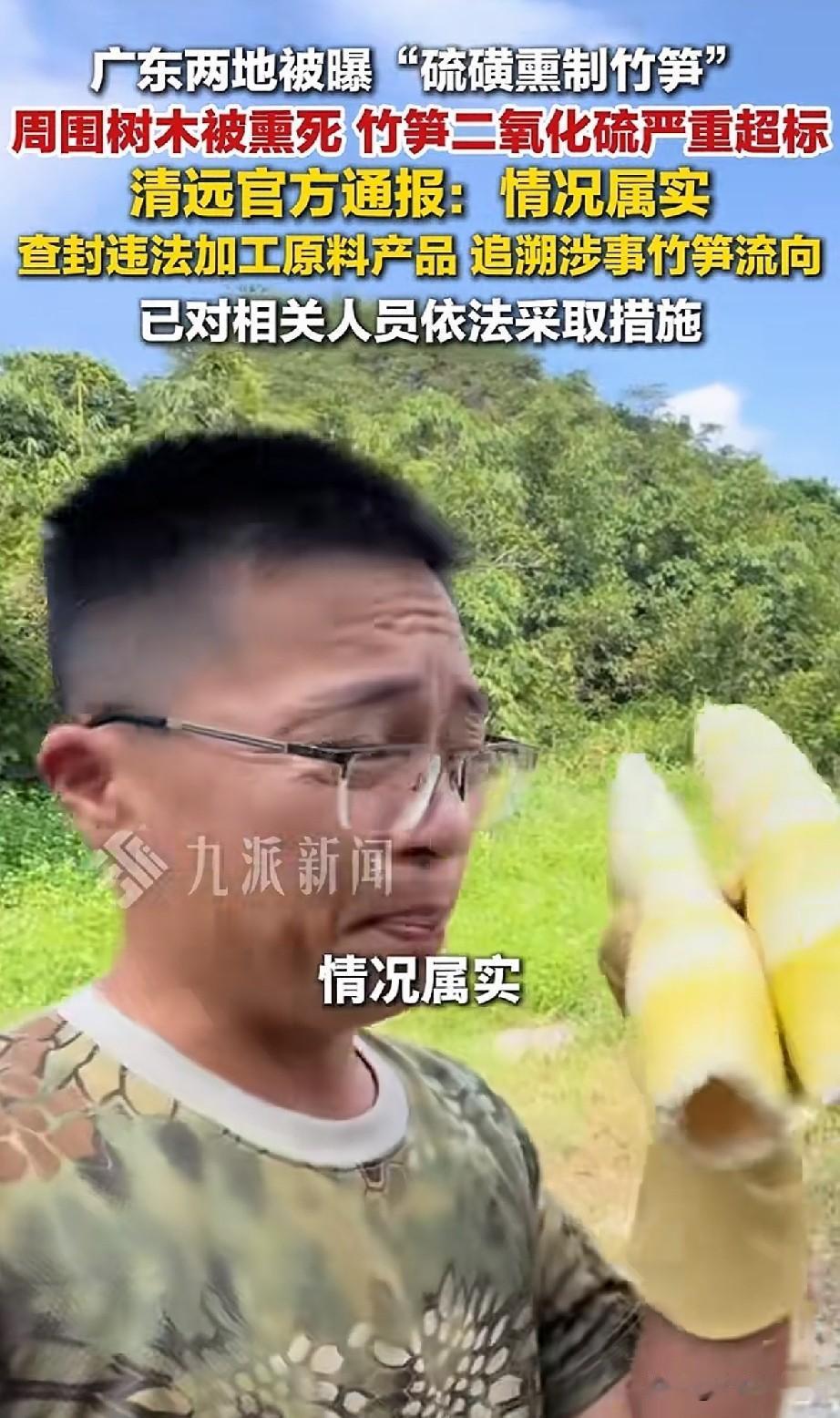 这些人把笋农坑惨了，国家早已明令禁止的操作，收购商家却为了竹笋颜值和保存期顶风作