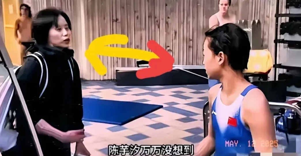 我观察全红婵很多年了，发现了一个很有意思的现象，那就是她像一个只换丫头一样，陈