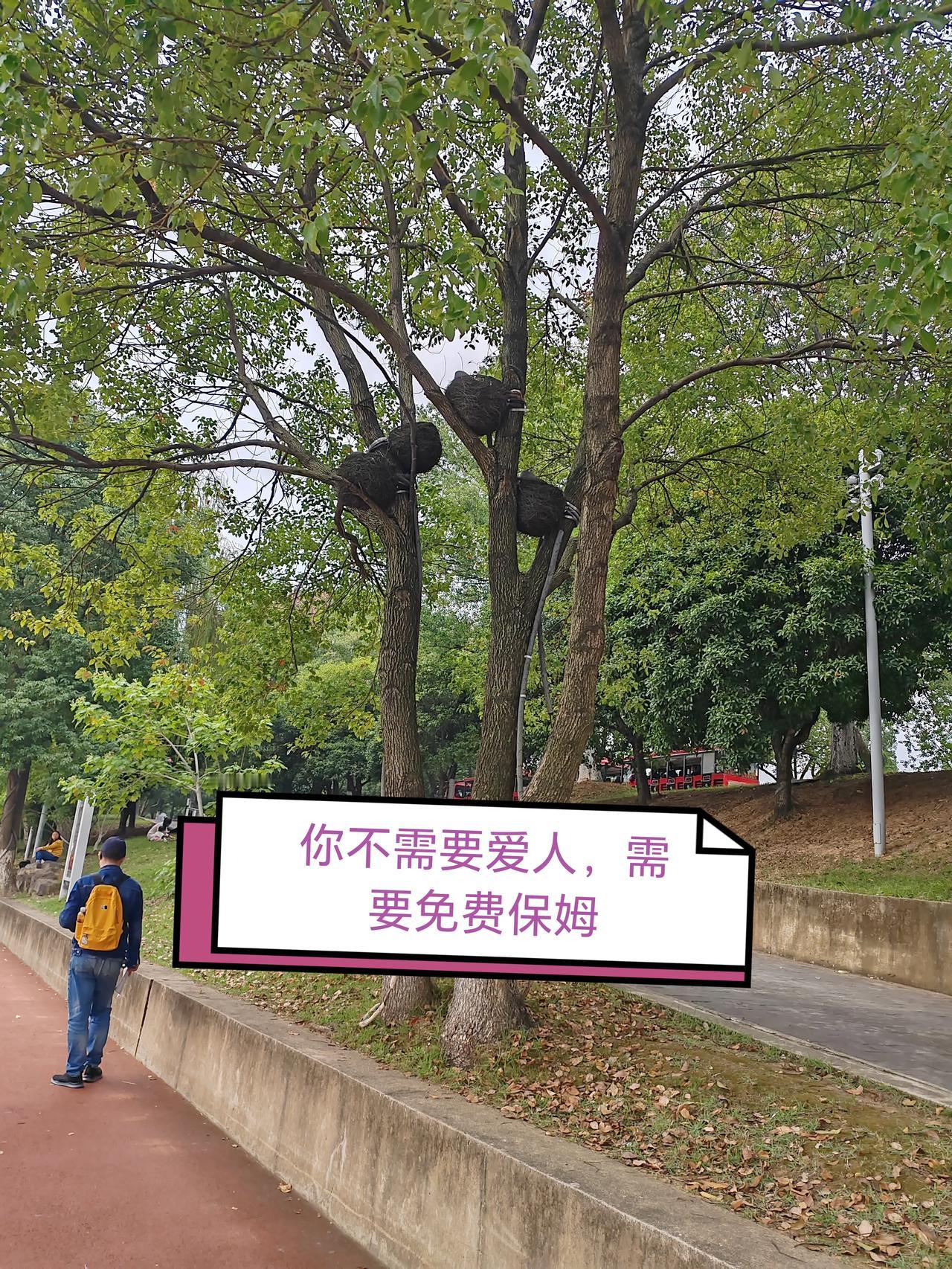 58岁教授求婚46岁保姆被拒,保姆一席话惊醒无数人:你的舒适,我的人生“我是