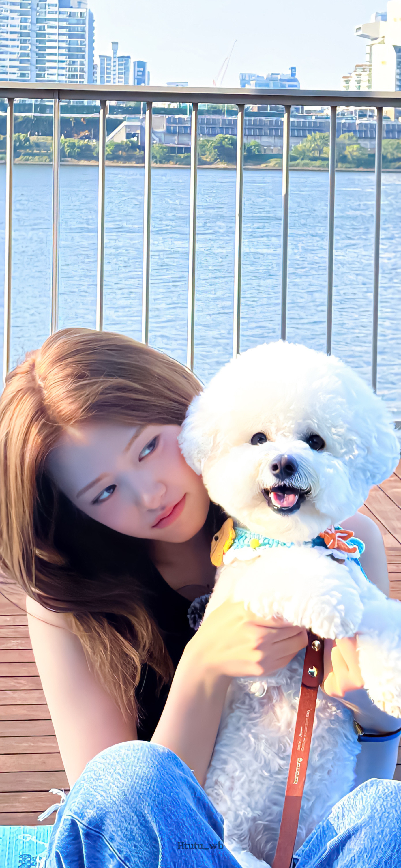 安宥真Yujin壁纸更新啦～🐶💭