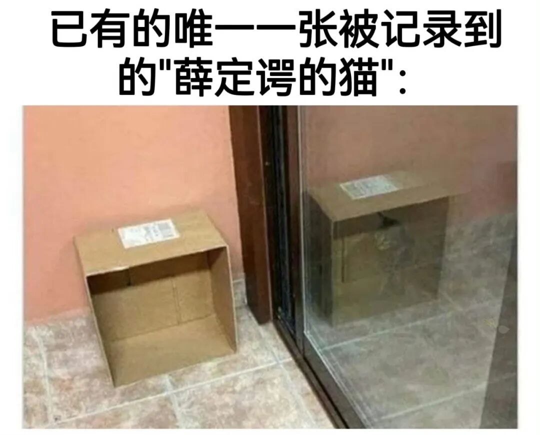 哇