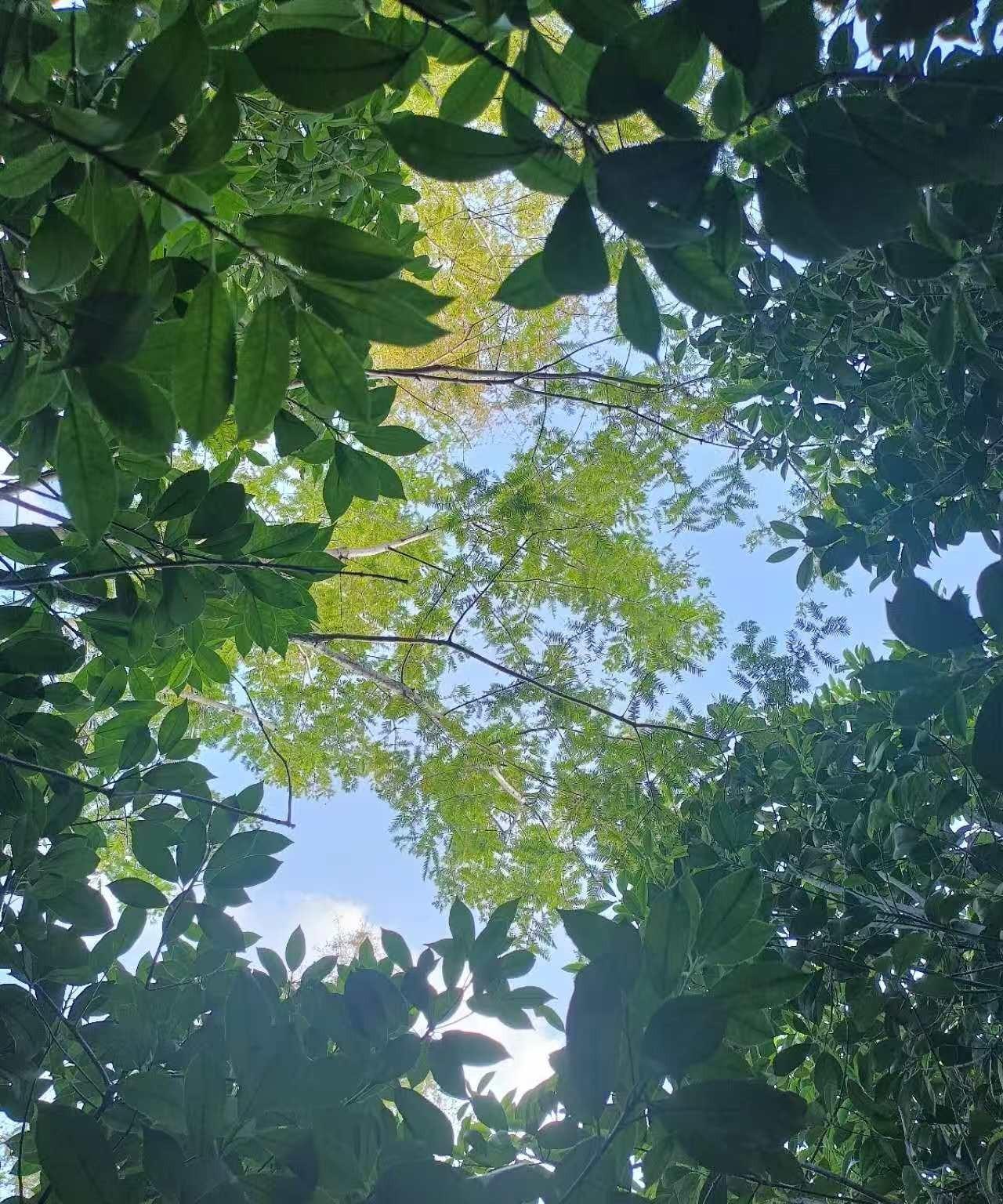 作为一个厌学四年多，躺平一年多的孩子的妈妈，这一路走来，内心有太多的辛酸和感慨！