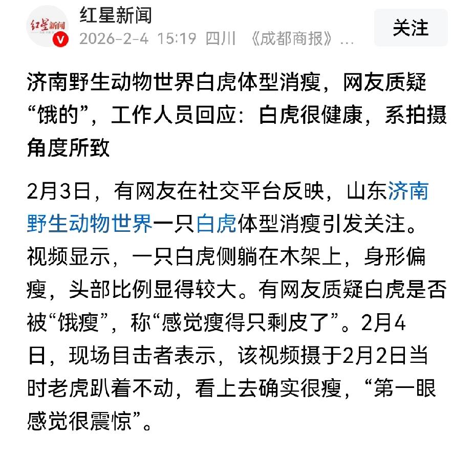济南野生动物世界的老虎瘦是有前科的，2022年被拍到老虎吃草回复是吃草有助于消化
