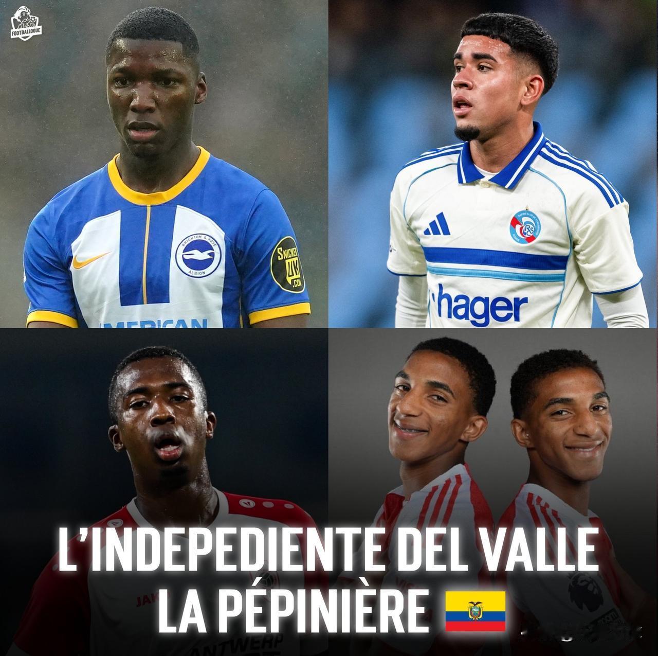 近年来，厄瓜多尔独立队出售的青年才俊数量简直惊人！👉凯塞多（转会布莱顿