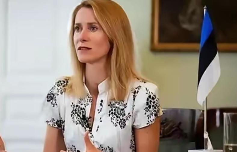 没想到欧盟对中国出了一个损招！最近欧盟搞的CBAM看着是为了环保，其实就是借着碳