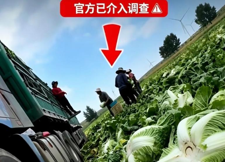 张家口康保再爆甲醛白菜，百姓买菜人心惶惶，黑心商贩到底还要钻多少空子。网上曝光的