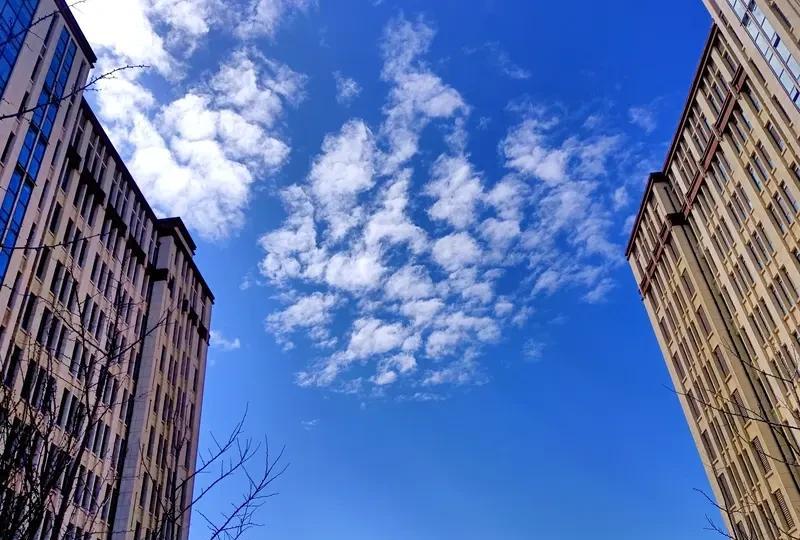 前几天，朋友家的孩子到鲁东大学报到了！这孩子在文科领域颇为擅长，特别是语文，阅读