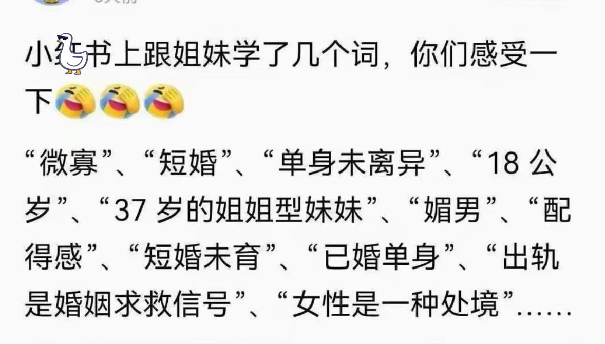 当事人刷小某书跟风学习了一套全新话术，一顿操作把普通人听得云里雾里。离婚叫微寡