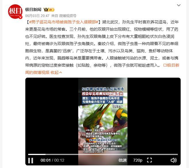 男子逛花鸟市场被微孢子虫入侵眼部武汉孙先生爱养花逗鸟，常逛花鸟市场。三个月前双