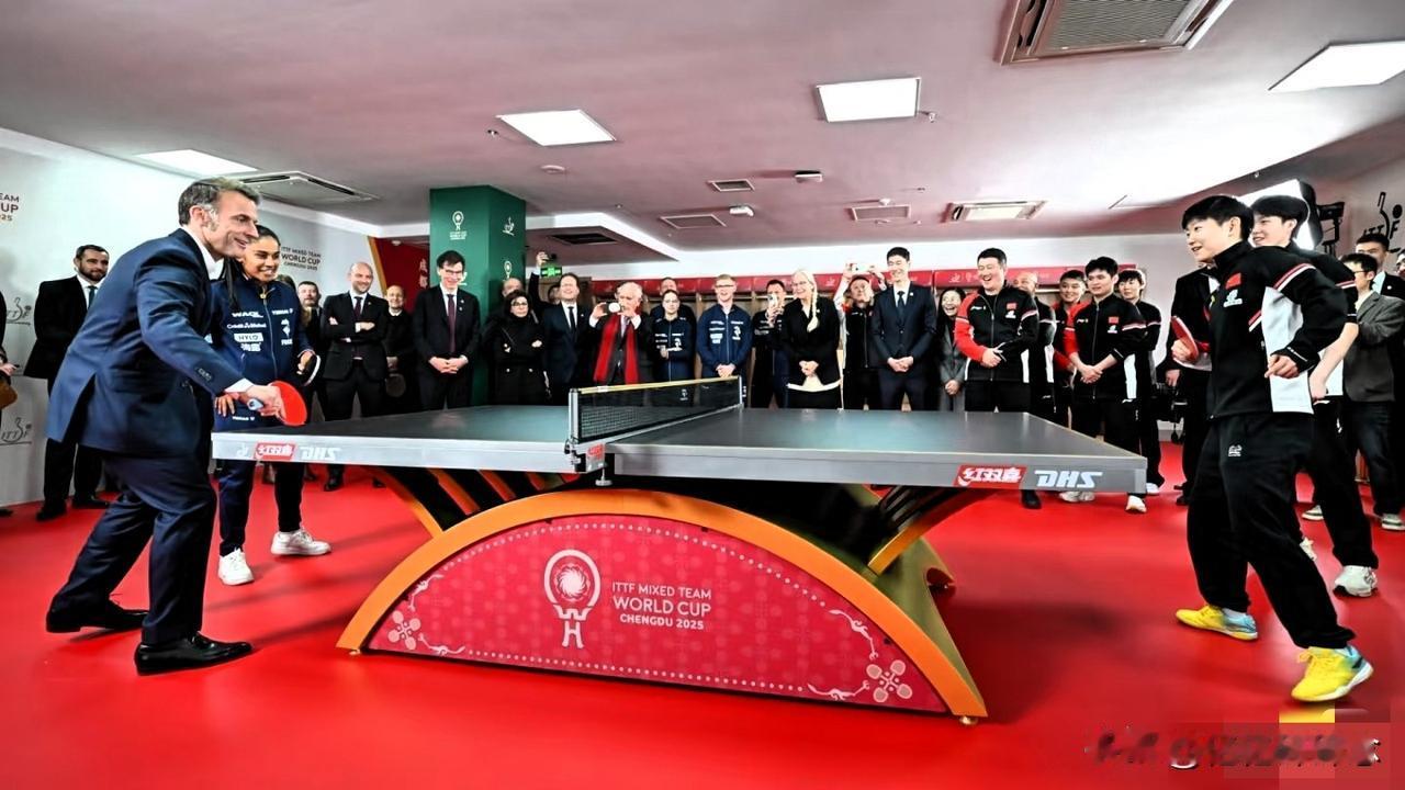 孙颖莎是我国乒乓球队核心队员，早已凭借奥运会、世锦赛等多项世界冠军享誉乒坛。