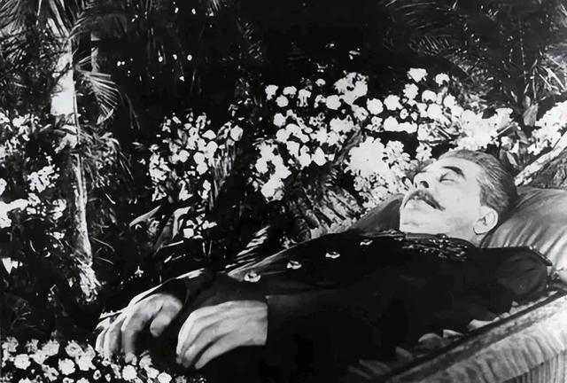 医生和厨师最好别得罪，结果斯大林把自己的保健团队全送去西伯利亚了，中风后全莫斯科