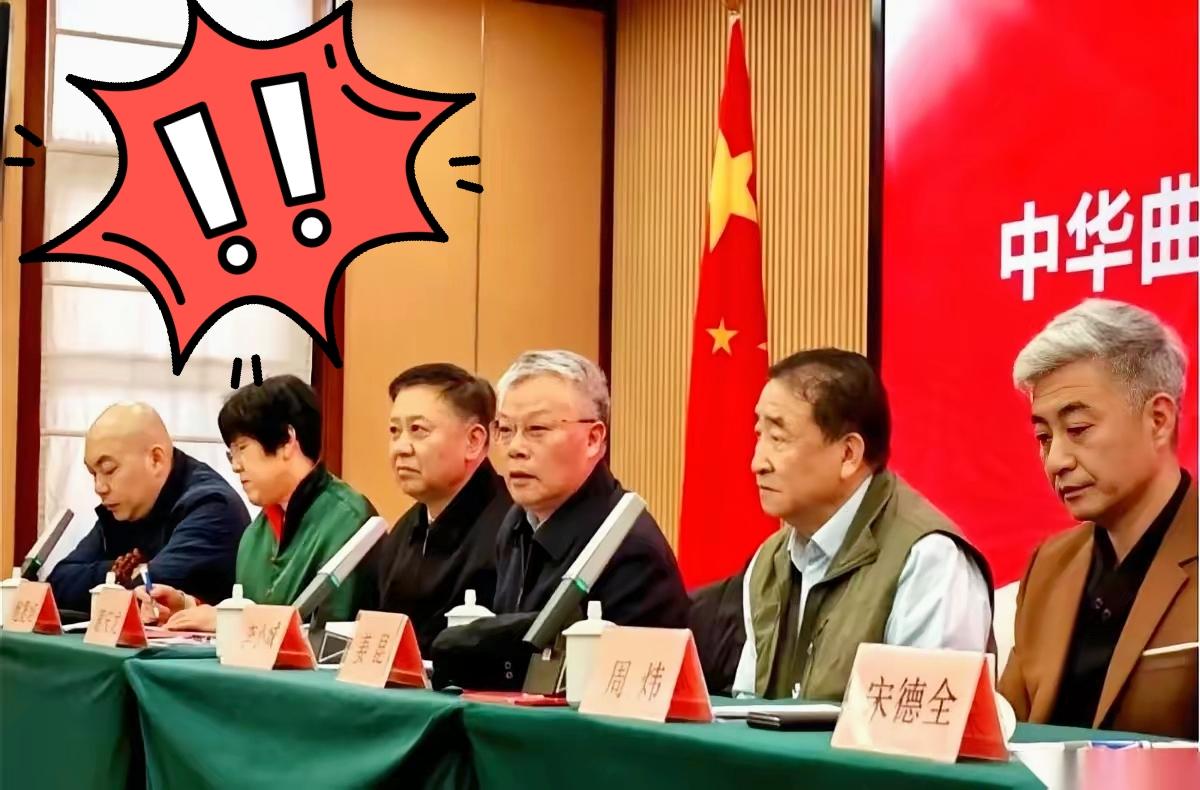 姜昆老爷子这一露面，确实挺让人意外。周炜接了大旗当会长，旁边还得有个程野副会长