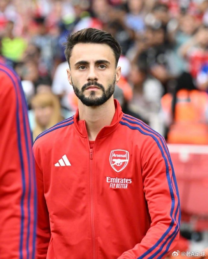 法比奥·维埃拉铁心留汉堡，阿森纳或亏本出售据德国《体育图片报》消息，租借效力汉堡