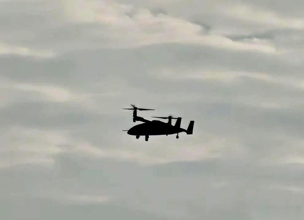 我以为是P的图，真的。直到我把那个尾翼放大，再放大……心脏停了半秒。第三款了