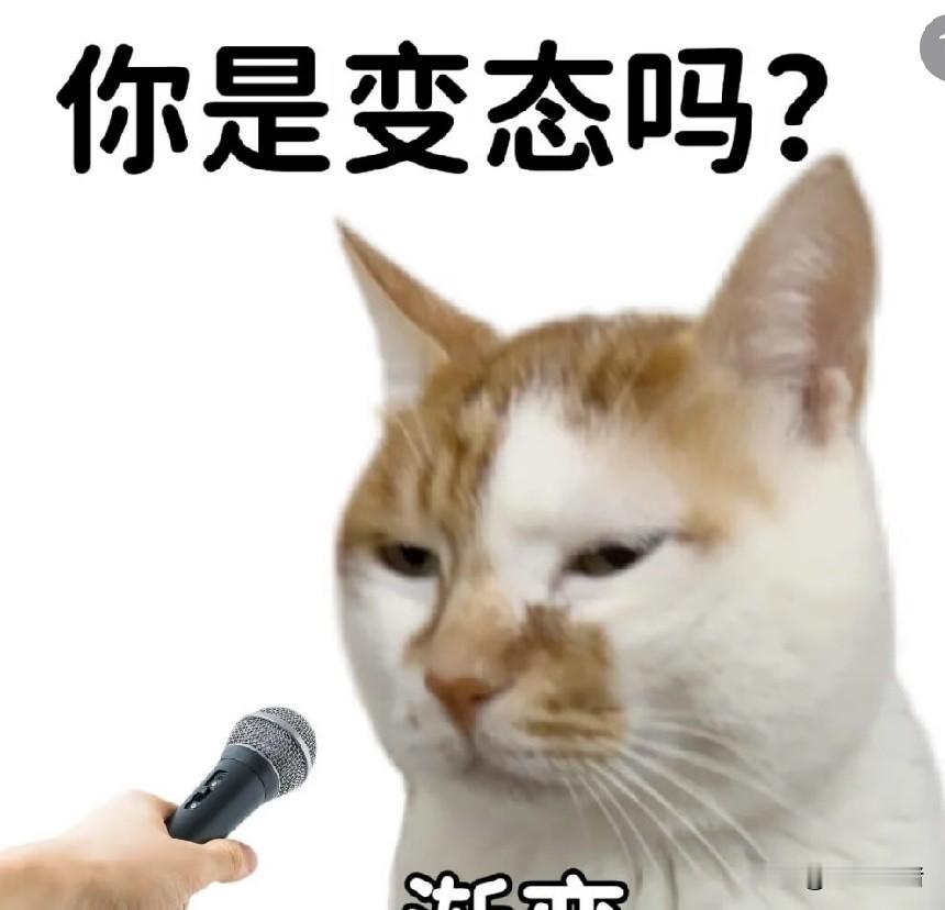 表妹每次有事都喜欢打视频，我每次都拒绝然后发语音。最讨厌这种突然给打视频的人。上