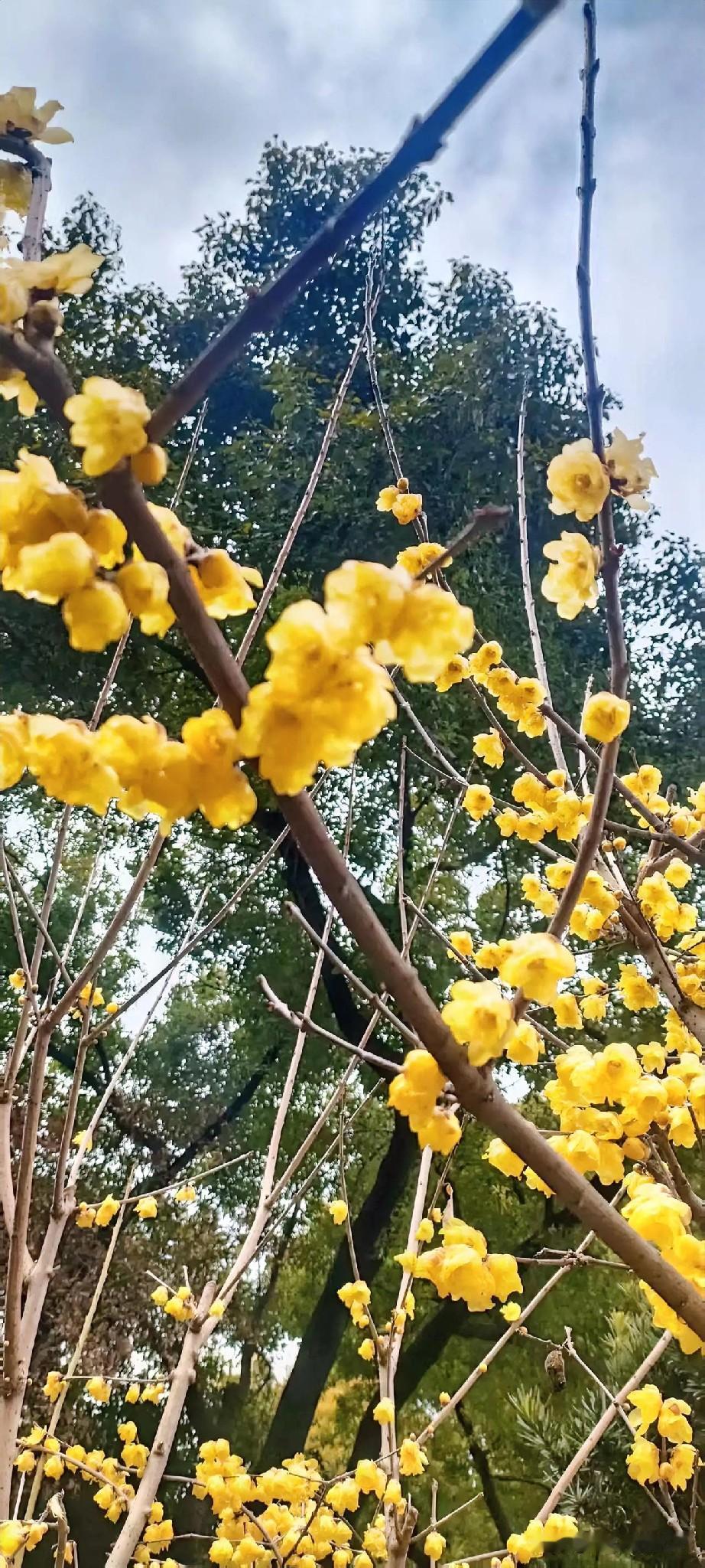 准到离谱！这才是星座的真相。星座不是标签，而是藏于骨子里的性格密码。嘴硬