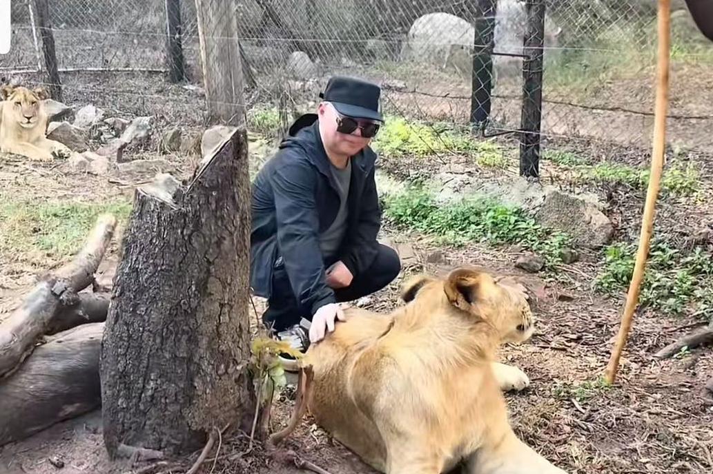 德云社演员非洲逛动物园，郭德纲摸狮子屁股，于谦吓的不敢进，留在门口碎碎念！德云社