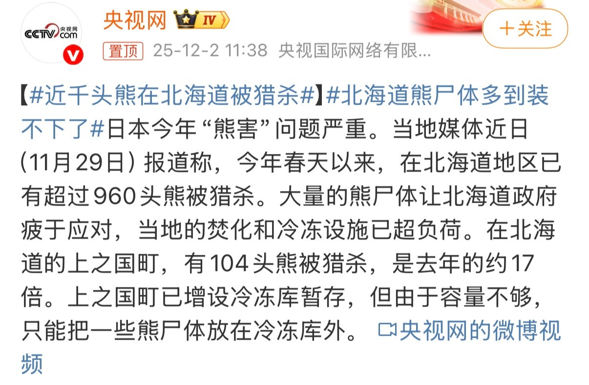 北海道熊尸体多到装不下了大规模猎杀熊群并非生态问题的终点，反而暴露了应对人熊冲