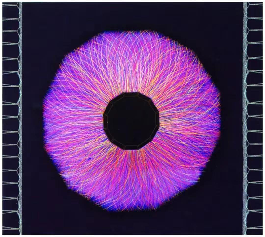 我讨厌“生理搭子”这个词！——这年月，有个矛盾现象：一方面大龄男女越来越多，一