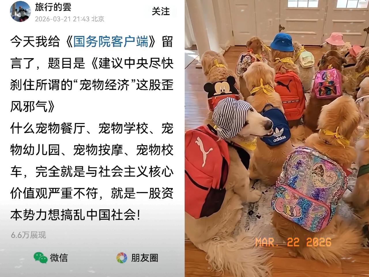 总算有人，把咱们老百姓憋在心里很久的话，直接反映到国务院了！这条建议整治宠物