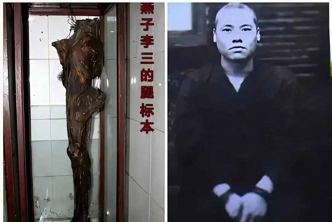 都说飞檐走壁是假的，直到燕子李三那条腿的标本被摆了出来。那东西一出来，整个武侠世