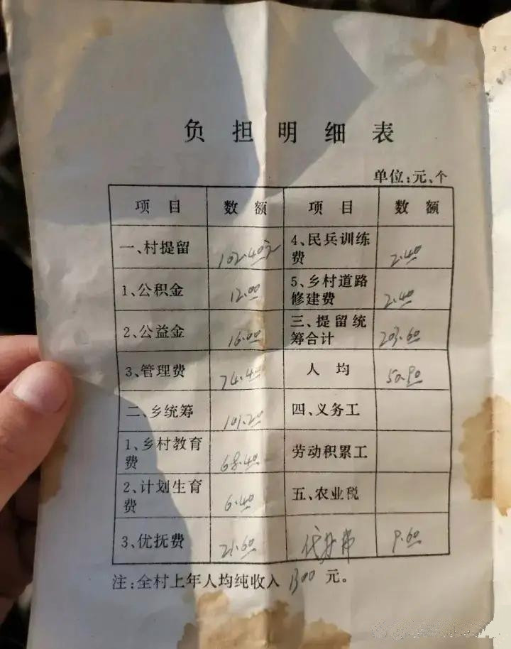 小的时候，为什么吃不起肉