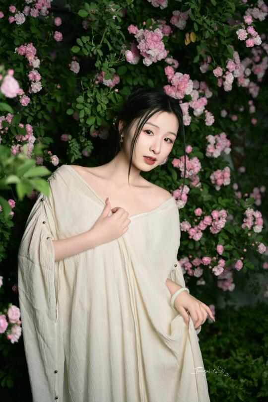绝美夜蔷薇，太适合i人了📷附拍摄花絮
