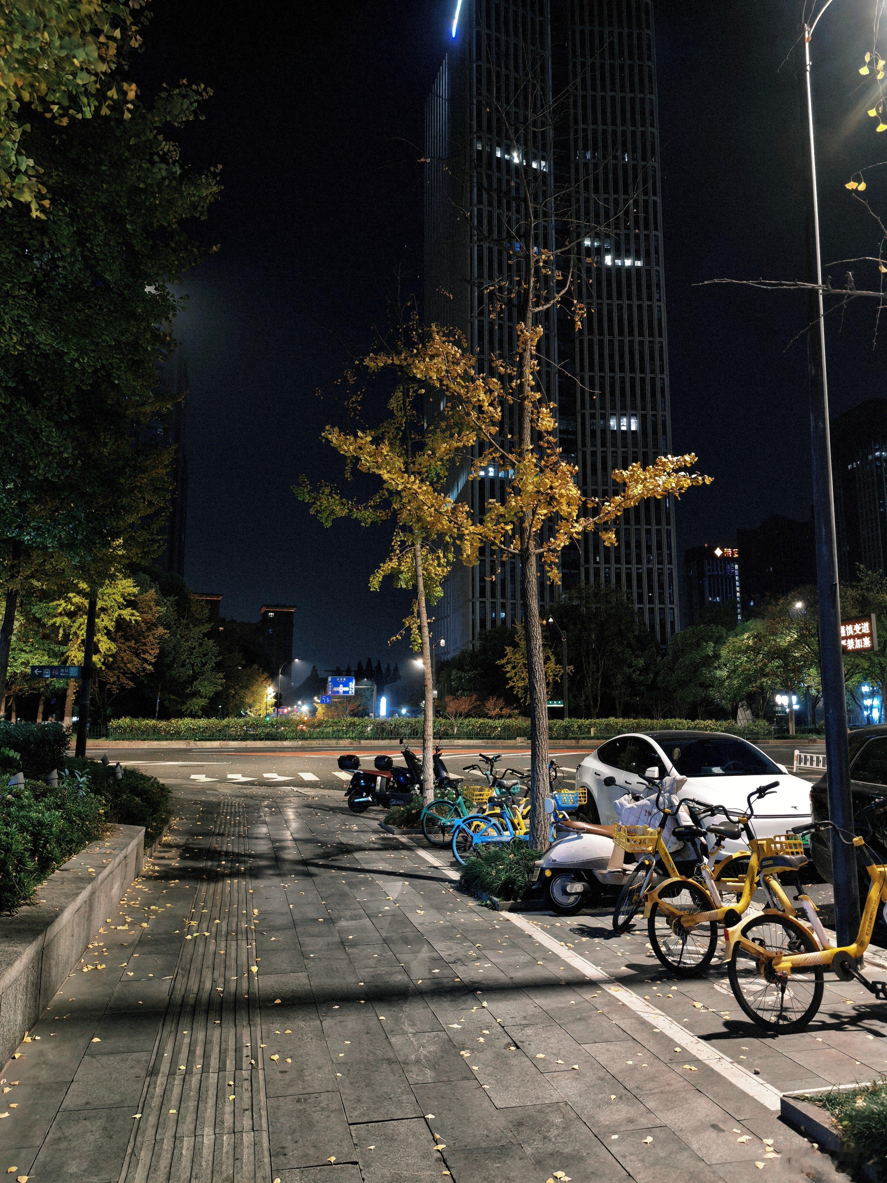 杭州不冷🥶才怪